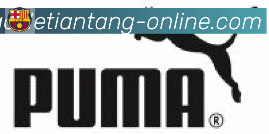 乐天堂体育合作伙伴